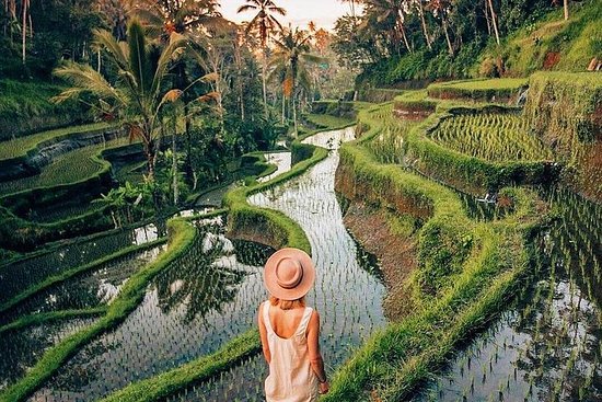 Buy USDT Near Tegallalang Rice Terrace Buy USDT Near Tegallalang Rice Terrace