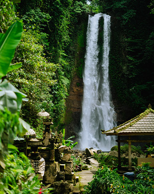 Withdraw Crypto around Gitgit Waterfall: A North Bali Guide