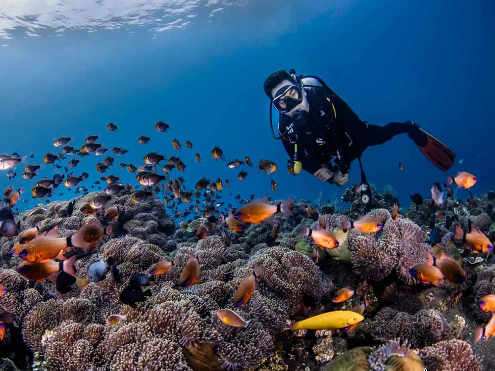 Sell Crypto Around Tulamben Dive Site: A Traveler’s Guide
