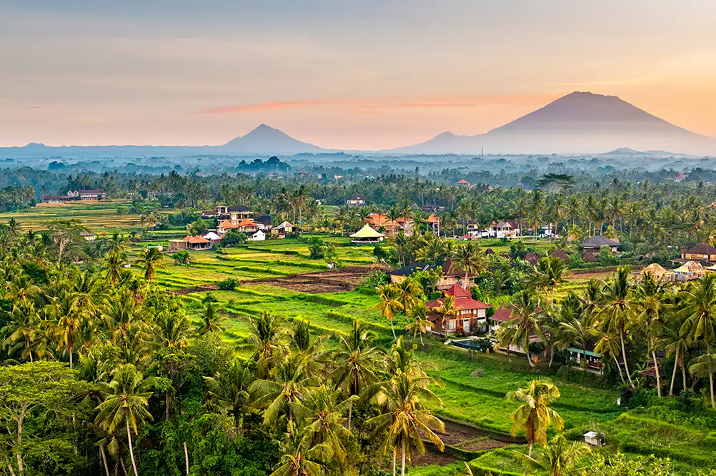 Looking for a recommended crypto exchange around Ubud? Learn how to safely sell your Bitcoin for IDR cash with our easy step-by-step withdrawal guide.